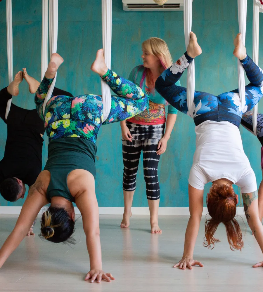 3 people are practicing flying downward facing dog in the aerial yoga hammock. They are wearing colouful clothes. Jo is in the background looking to one side. The wall behind them is blue.